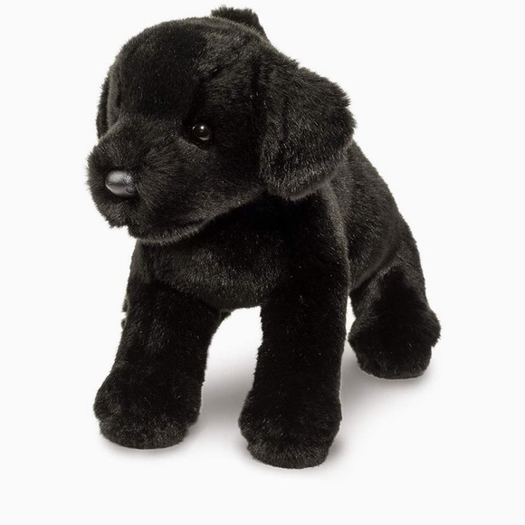 Douglas Brewster The Black Lab Dog - Picture 1 of 8